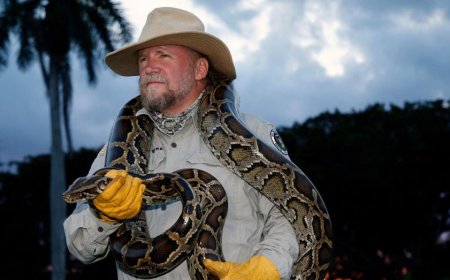 Tom Rahill captures 96 Burmese pythons in 10 days to win 2026 Florida Python Challenge