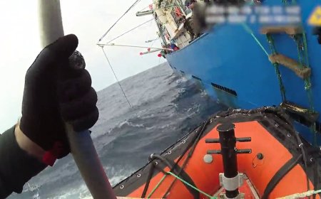 Possible illegal fishing operations, including shark finning, found during DFO patrols