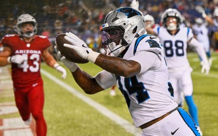 Panthers rally past Cardinals in Hall of Fame Game to open NFL preseason