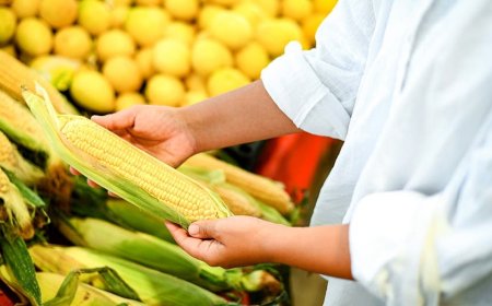 Controversial grocery store move evokes expert's blunt advice: 'If you shuck it, buy it'