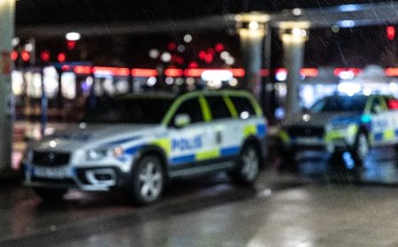 ‘Teen’ Convicted Of Attempted Murder In Sweden After Throwing Grenade Into Couple’s Home And Killing Family Dog, Avoids Prison Despite Offense Carrying 10-Year Term