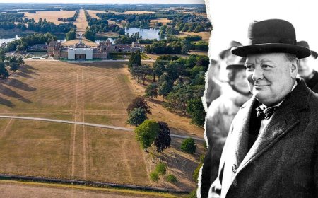 Ghostly outline of long-lost garden at Winston Churchill's birthplace revealed in aerial photos