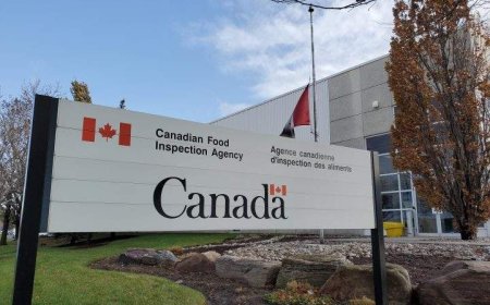 Compliments’ smashed 100% chicken burgers are being recalled in Canada