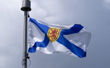 Independent report slams Nova Scotia’s lack of urgency in disability housing reform