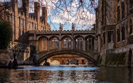 Cambridge University professor resigns after major plagiarism accusations prompt investigation