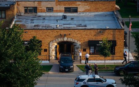 Dozens of improperly stored bodies found decomposing at Chicago funeral home