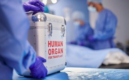 Organ harvesting began while patients still showed ‘signs of life,’ federal investigation finds