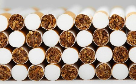 Roughly 600K illegal cigarettes seized by Winnipeg police