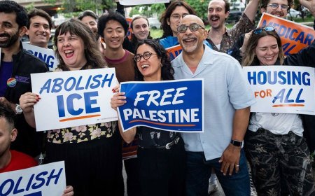 Socialist House nominee's radical law-and-order vision: 'What are illegals?'