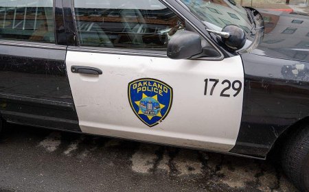 Child driving car strikes woman walking dog in California, police say