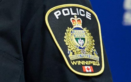 Bus rider stabs Winnipeg Transit operator, prompting police investigation