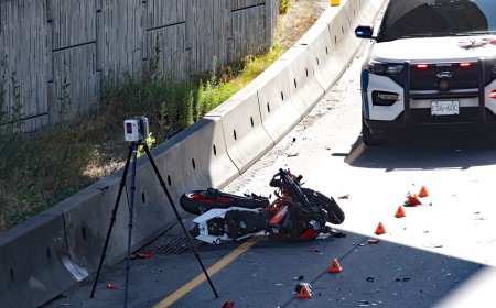 Motorcyclist flees into oncoming Surrey traffic, crashes after attempted police stop