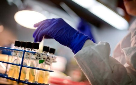 Stanford scientists just used AI to build a virus to target E. coli