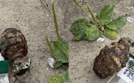Angler reels in training grenade from Red River in Selkirk: RCMP