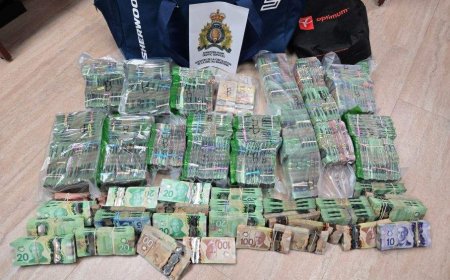 Almost $1M in cash seized following traffic stop in Manitoba: RCMP