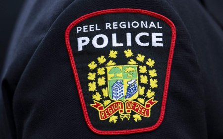 Stolen trucks, computer equipment totaling $800K recovered in Brampton