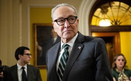 Schumer caves, hands Republicans shutdown win after months of uncertainty