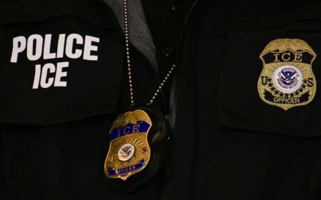 Poll Shows Support for Mass Deportation of Illegals Is Growing