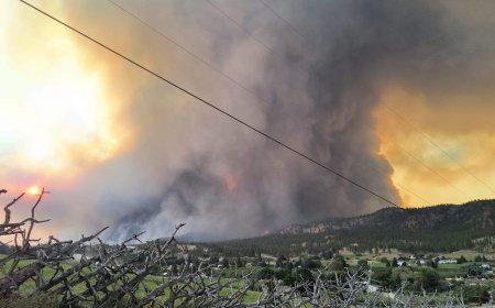 Over 20,000 flee as B.C evacuation orders in full swing due to aggressive wildfire