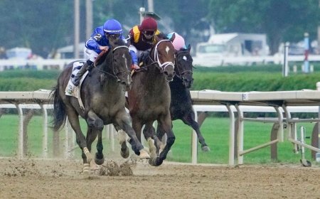 Saturday at 'the Spa': Saratoga Race Course picks for Whitney Day, including four Grade 1 stakes races