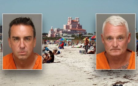 Florida business owners allegedly scattered 1,500 mothballs on beach to send endangered birds packing