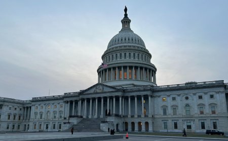 The Hitchhiker’s Guide to what the Senate did and didn’t do overnight