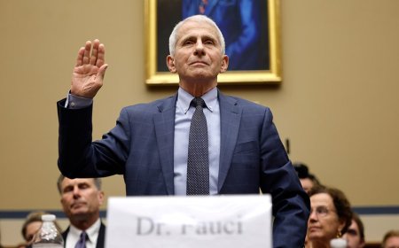 Fauci in the congressional wringer: a test for Trump's newly-minted Attorney General