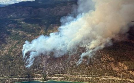 B.C. premier declares wildfire state of emergency