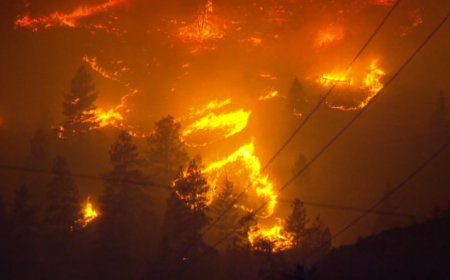 Video shows rapid night growth of Bald Range fire near Summerland