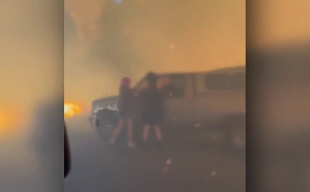 Video captures Faulder residents rescuing their dogs from vehicle surrounded by flames
