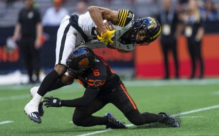 Late field goal lifts Lions to win over Tiger-Cats