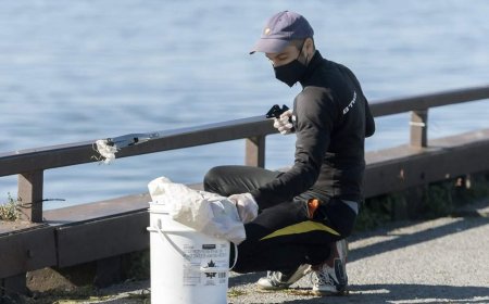 Quebec group leads 16-day shoreline cleanup