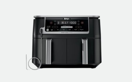 The Curator: Best air fryers and dorm-friendly appliances for easy cooking in small spaces