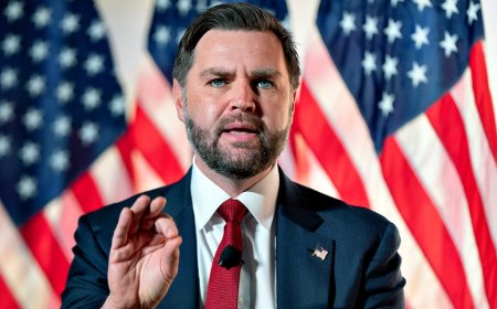 Vice President Vance says migrant communities show 'clear pattern' in federal fraud as investigations widen