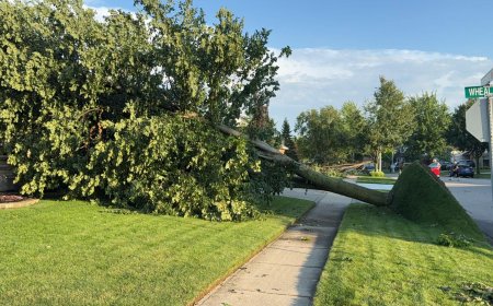 2 tornadoes touch down in southwestern Ontario as storms blow through region