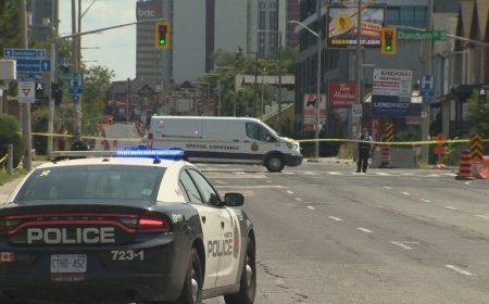 Hamilton fatal stabbing marks city’s 9th homicide of 2026
