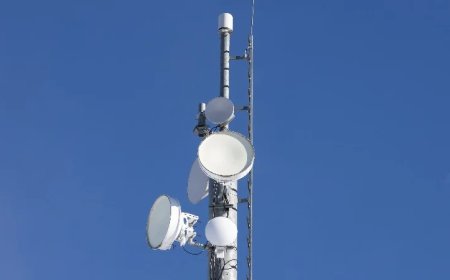 Cell Tower Dumps Are Unconstitutional, Federal Judge Rules