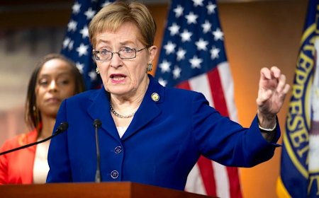 Dem rep, in first video since hit-and-run crash, opens up about wreck