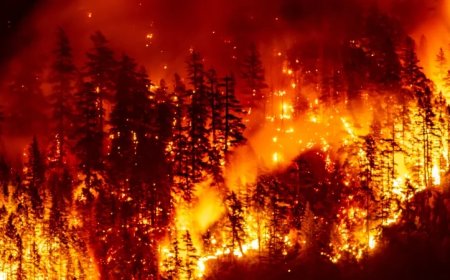 Study: Wildfire Smoke an Increasing Threat To Babies
