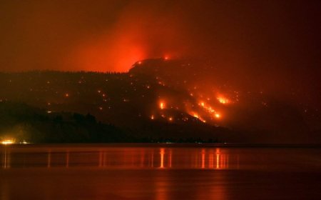 Why information officer kept camera rolling even as he fled B.C. wildfire with family