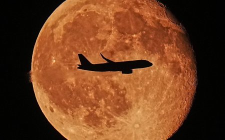 Toronto man pleads guilty to wire fraud after posing as pilot for free flights