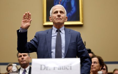 Fauci discussed COVID mRNA vaccine concerns for pregnant women in text chain released by Senate committee