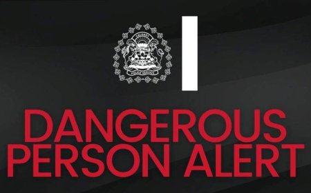 Calgary police respond to reports of shooting, warn residents to stay inside