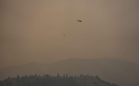Why did the ‘absolutely shocking’ B.C. wildfire intensify so fast?