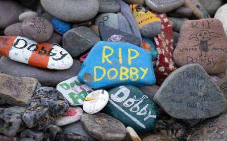 Harry Potter fans revolt over power cable route near Dobby fictional grave