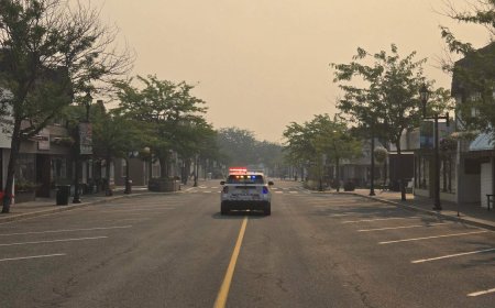 Cause of Summerland wildfire under investigation as RCMP examine reports of suspicious activity