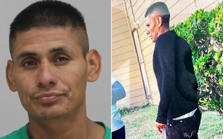 Dallas Police Open Fire on Previously-Deported Suspect During Stabbing Frenzy
