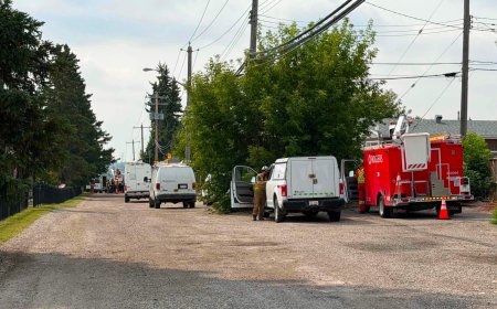 Attempted copper theft to blame for Calgary internet service outage, Rogers says