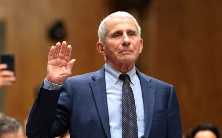 Fauci said ‘no red flags’ for pregnant women days after raising theoretical vaccine miscarriage risk: text