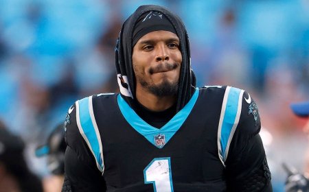 Cam Newton backs Aaron Rodgers, claiming NFL 'players, coaches and executives' used fake COVID vaccine cards